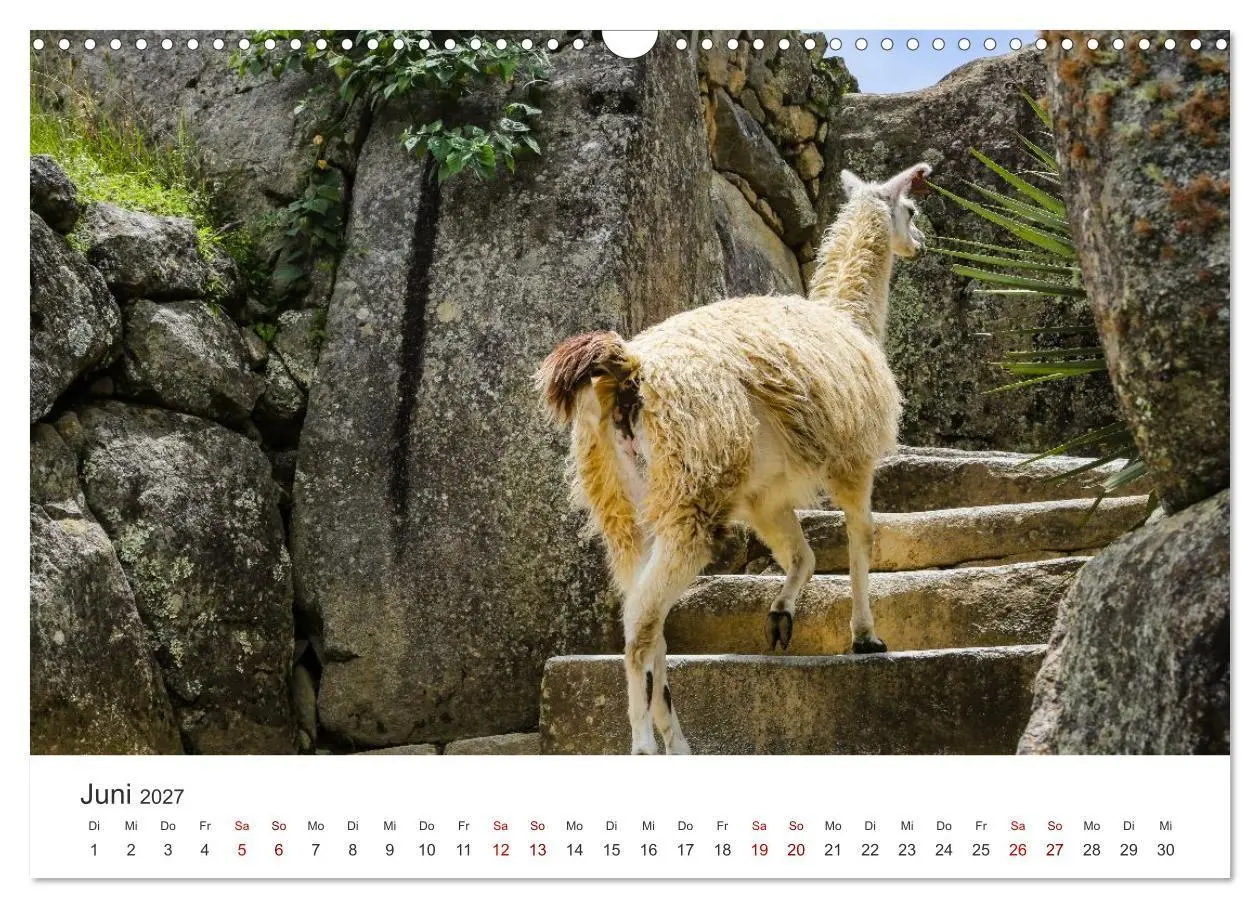 Bild: 9783516885859 | Macchu Picchu (Wandkalender 2027 DIN A3 quer), CALVENDO Monatskalender