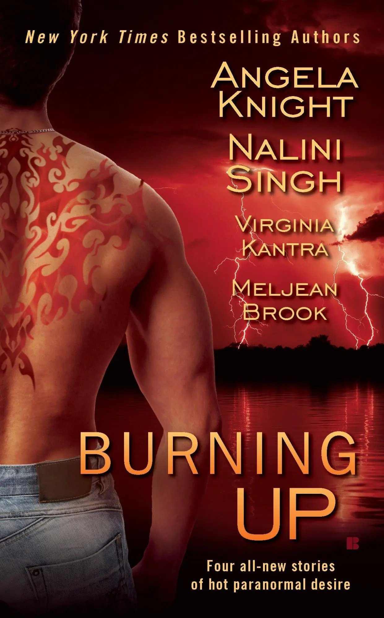 Cover: 9780425235959 | Burning Up | Angela Knight (u. a.) | Taschenbuch | Englisch | 2010