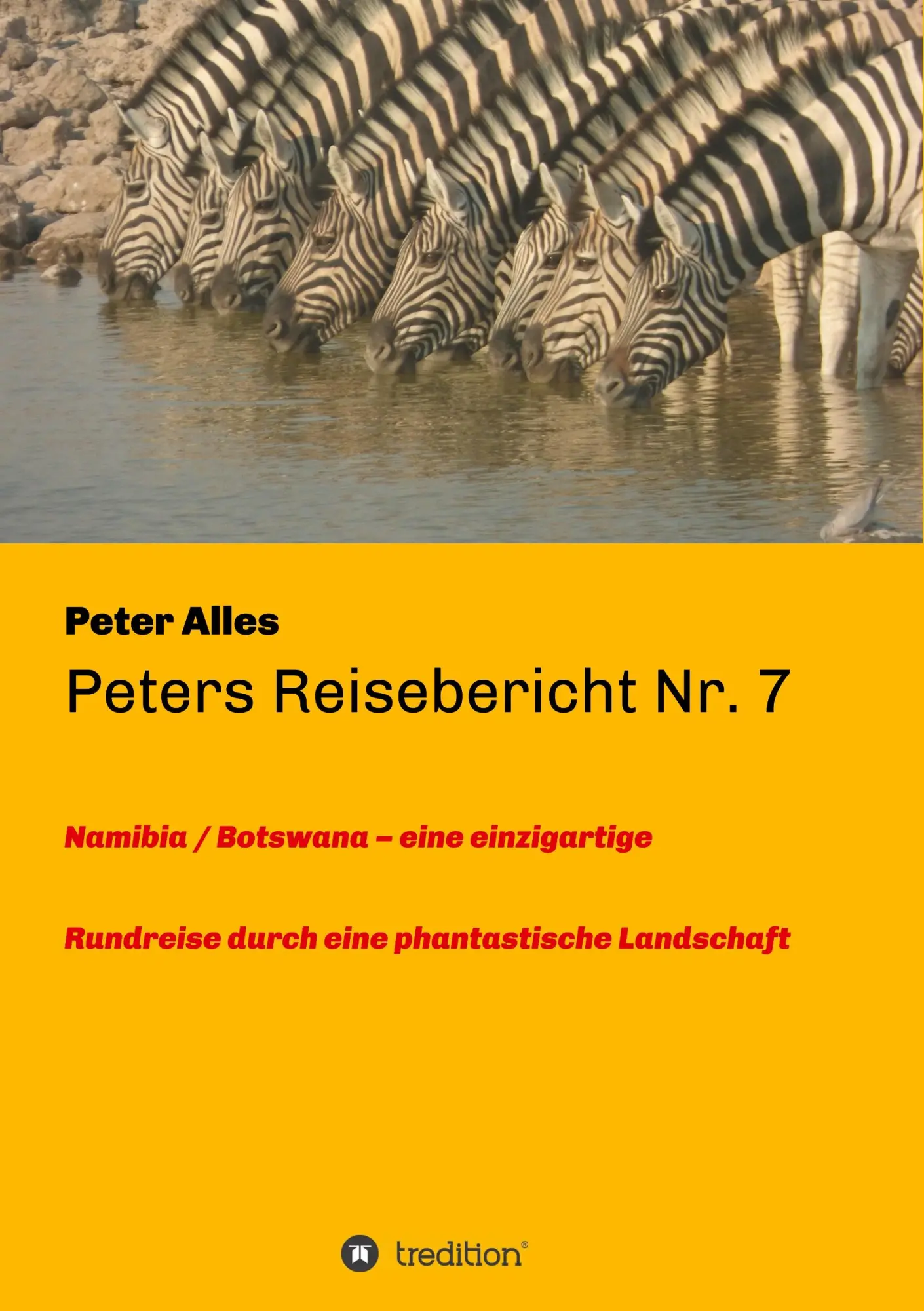 Cover: 9783748225959 | Peters Reisebericht Nr. 7 | Peter Alles | Taschenbuch | Paperback