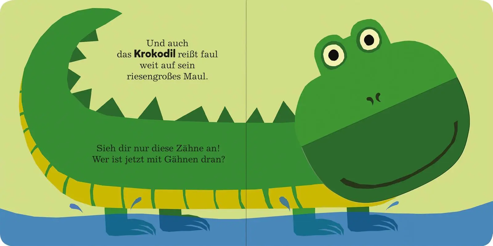 Bild: 9783845865959 | Alle müssen gähnen | Mit großen Klappen | Maria Höck | Buch | 26 S.