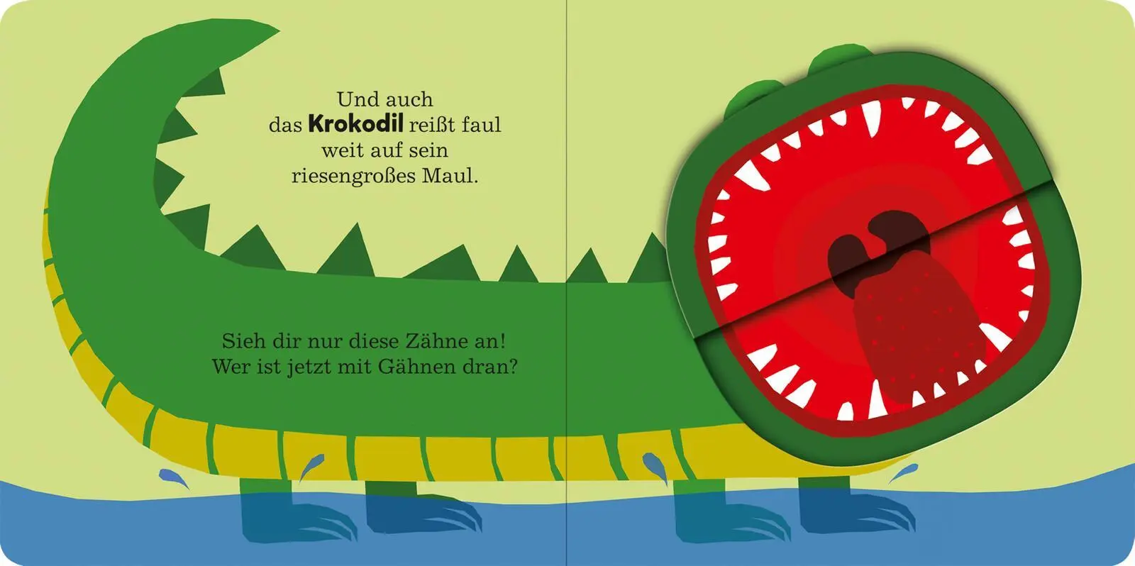 Bild: 9783845865959 | Alle müssen gähnen | Mit großen Klappen | Maria Höck | Buch | 26 S.