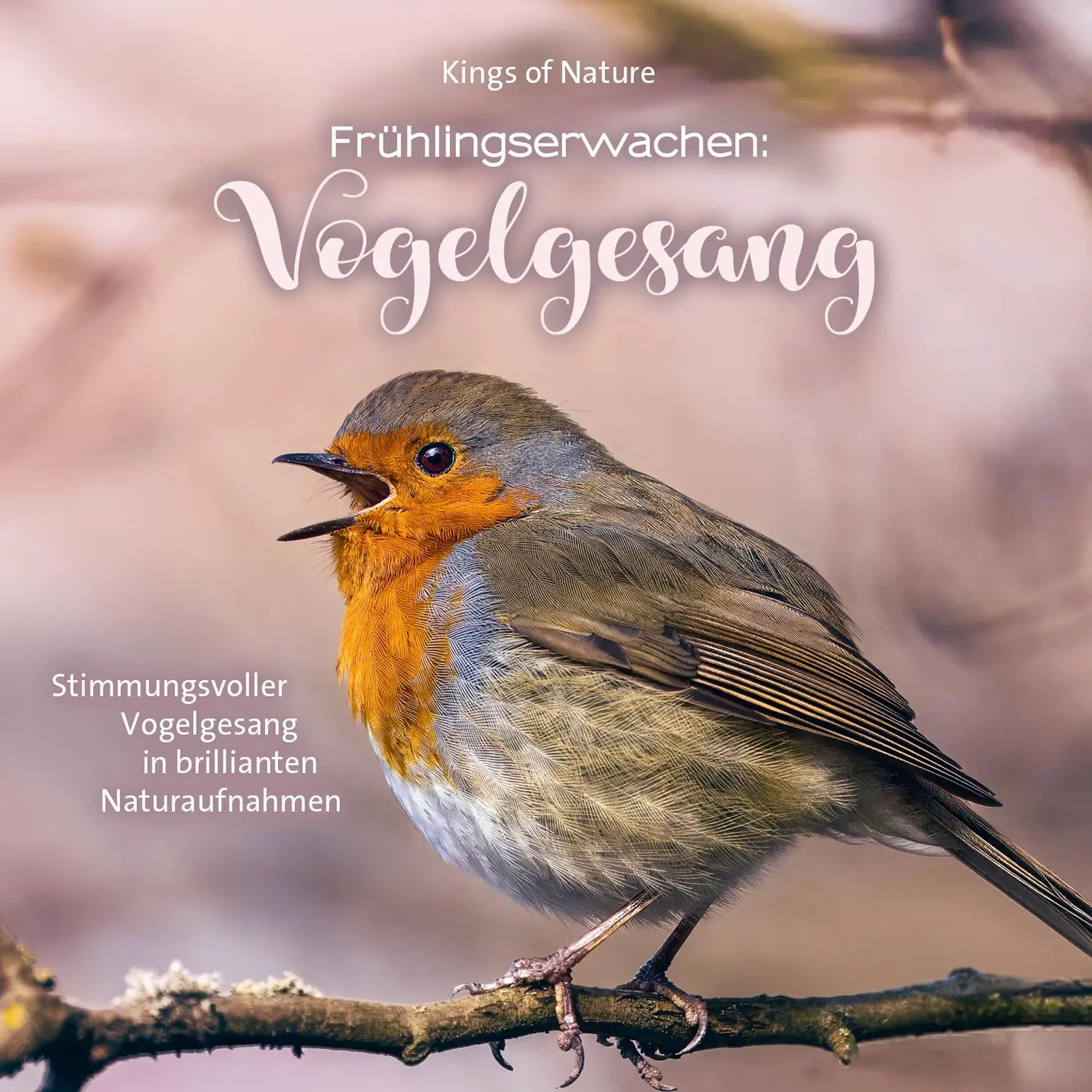 Cover: 9783957665959 | Frühlingserwachen: Vogelgesang | Audio-CD | 71 Min. | Deutsch | 2025