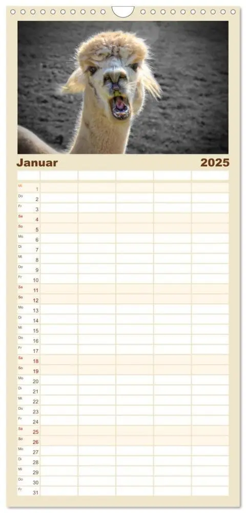 Bild: 9783457116159 | Familienplaner 2025 - Alpaka Gesichter mit 5 Spalten (Wandkalender,...