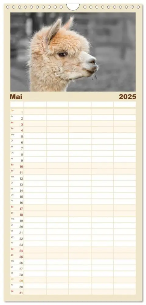Bild: 9783457116159 | Familienplaner 2025 - Alpaka Gesichter mit 5 Spalten (Wandkalender,...