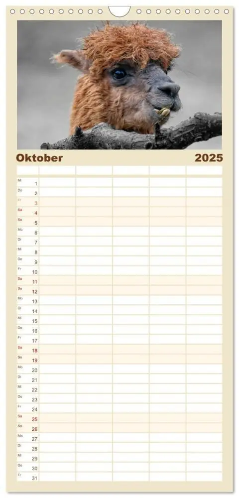 Bild: 9783457116159 | Familienplaner 2025 - Alpaka Gesichter mit 5 Spalten (Wandkalender,...