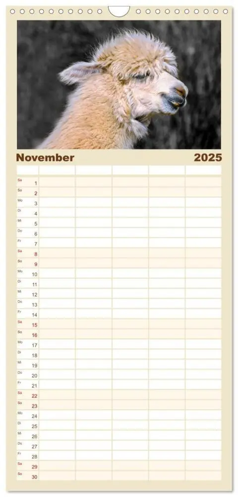 Bild: 9783457116159 | Familienplaner 2025 - Alpaka Gesichter mit 5 Spalten (Wandkalender,...