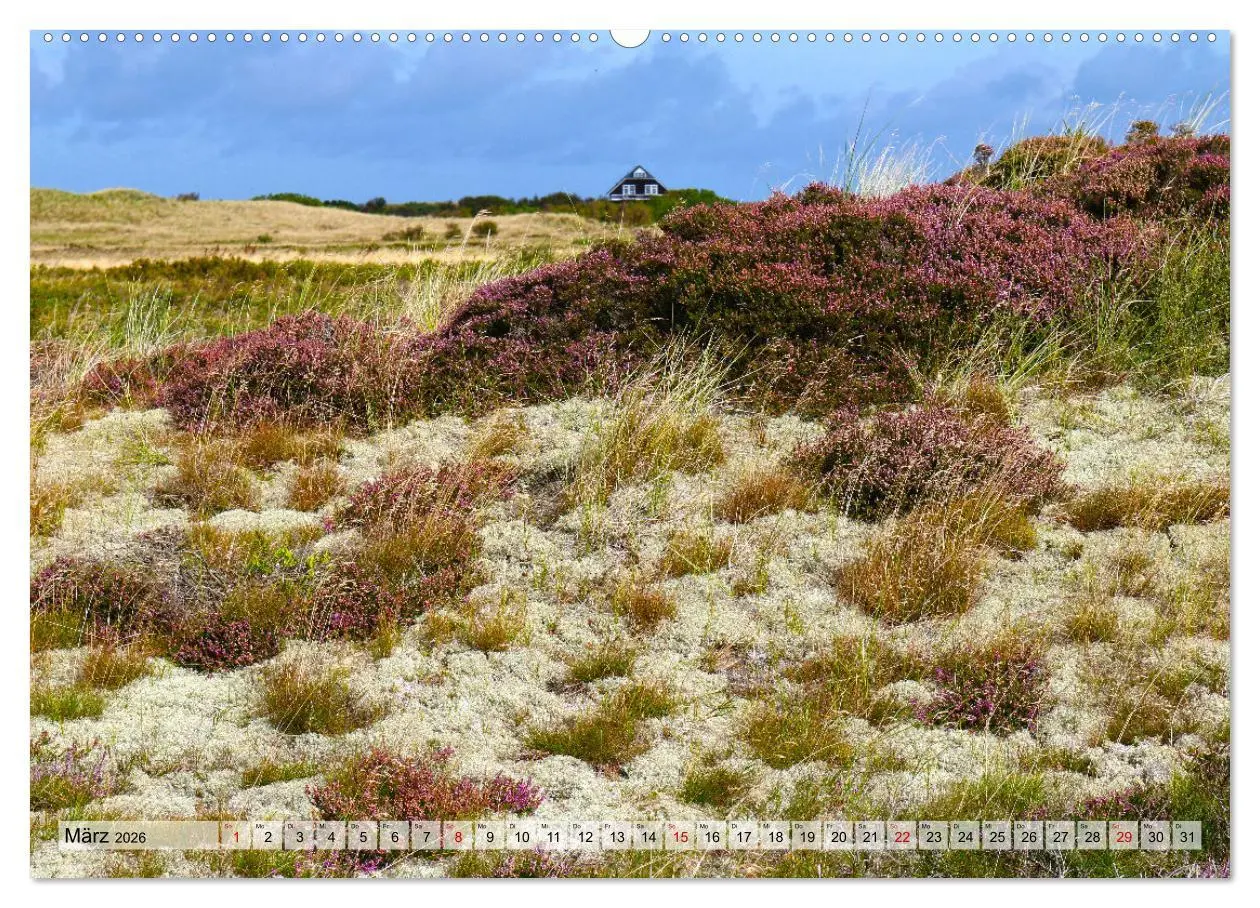 Bild: 9783457426159 | Skagen - Licht und Leben an Dänemarks Nordspitze (hochwertiger...