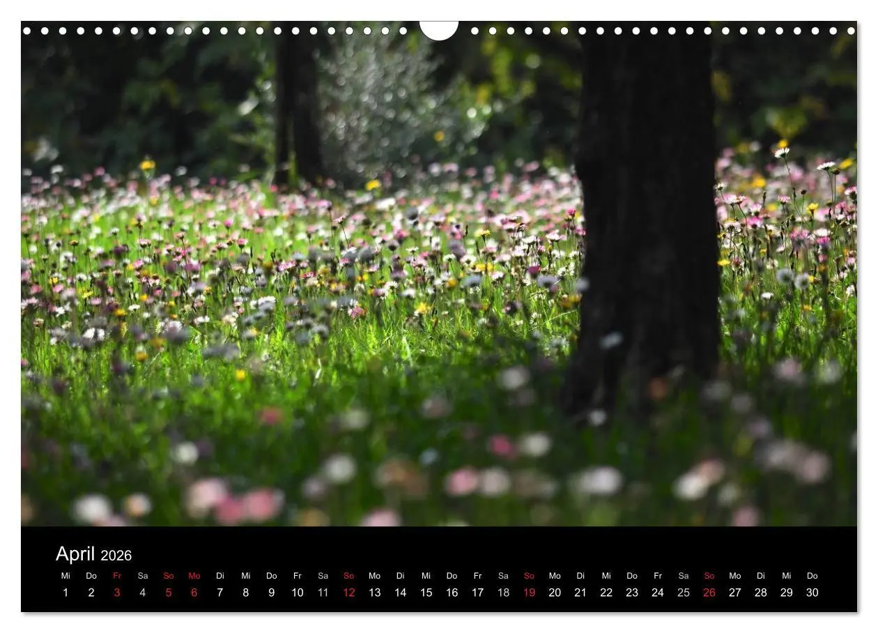 Bild: 9783457976159 | Provence 2026 - Stille Bilder (Wandkalender 2026 DIN A3 quer),...