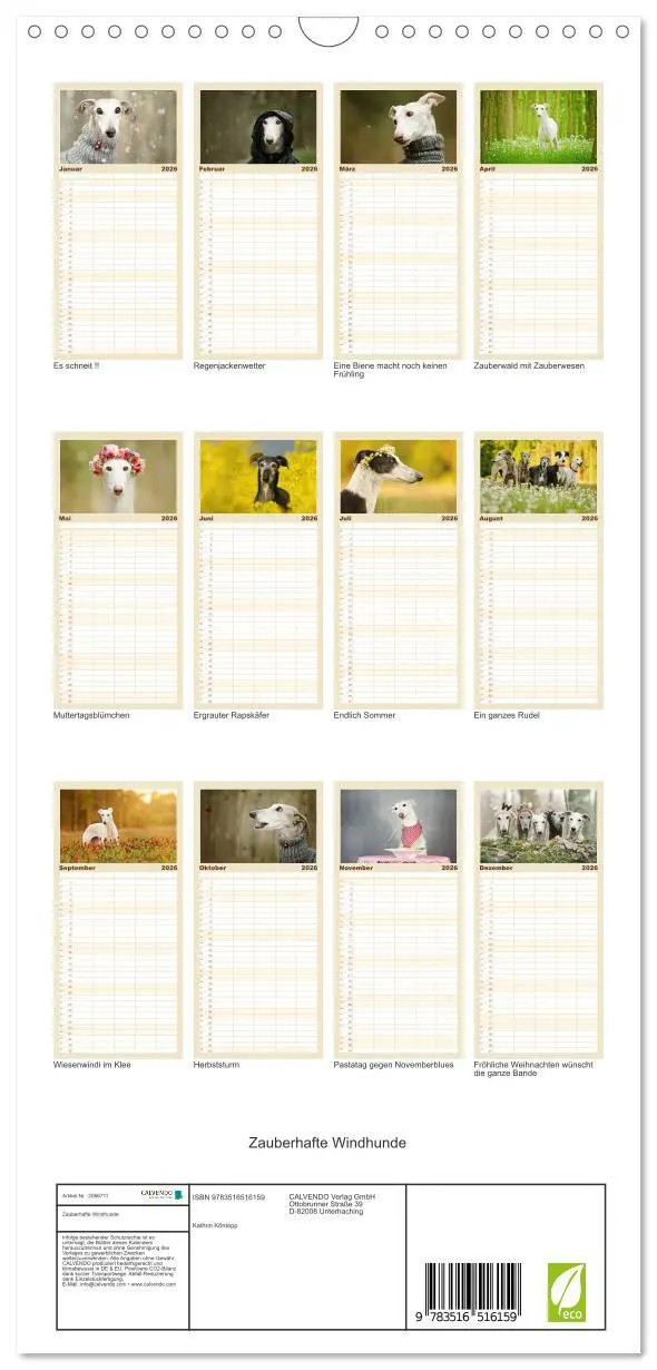 Bild: 9783516516159 | Familienplaner 2026 - Zauberhafte Windhunde mit 5 Spalten...