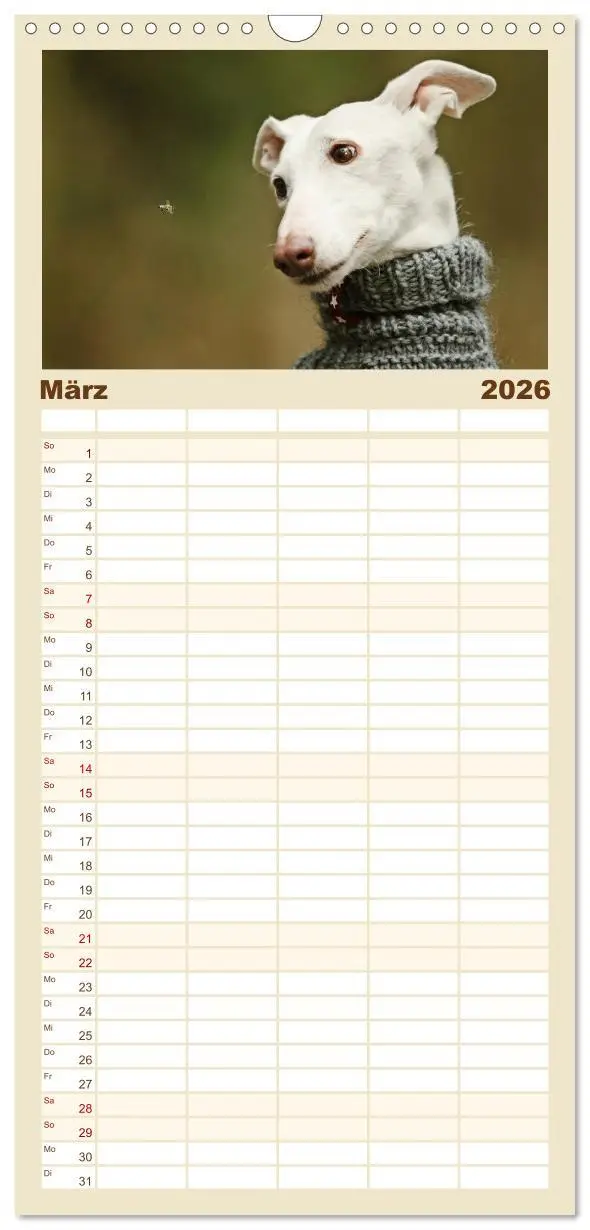 Bild: 9783516516159 | Familienplaner 2026 - Zauberhafte Windhunde mit 5 Spalten...
