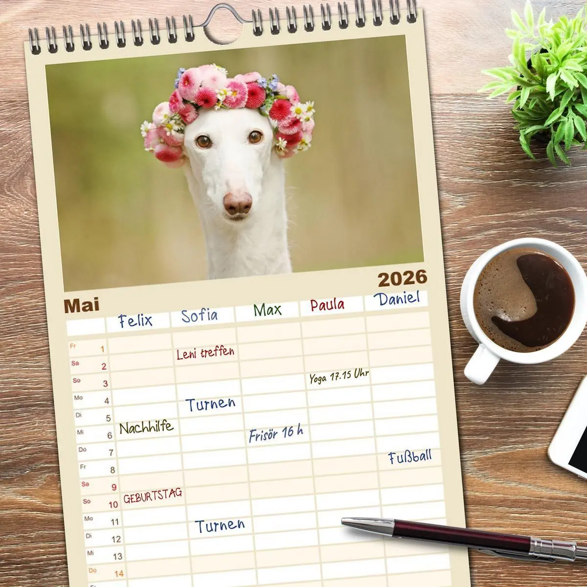 Bild: 9783516516159 | Familienplaner 2026 - Zauberhafte Windhunde mit 5 Spalten...