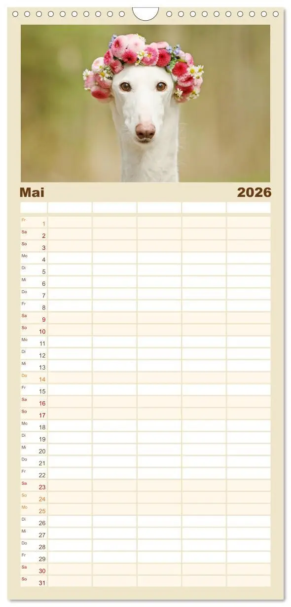 Bild: 9783516516159 | Familienplaner 2026 - Zauberhafte Windhunde mit 5 Spalten...