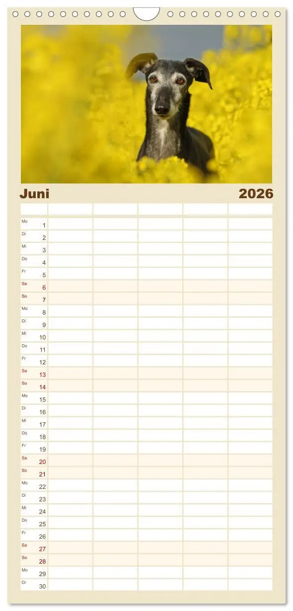 Bild: 9783516516159 | Familienplaner 2026 - Zauberhafte Windhunde mit 5 Spalten...