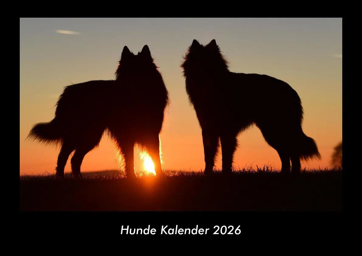 Cover: 9783695406159 | Hunde Kalender 2026 Fotokalender DIN A3 | Tobias Becker | Kalender