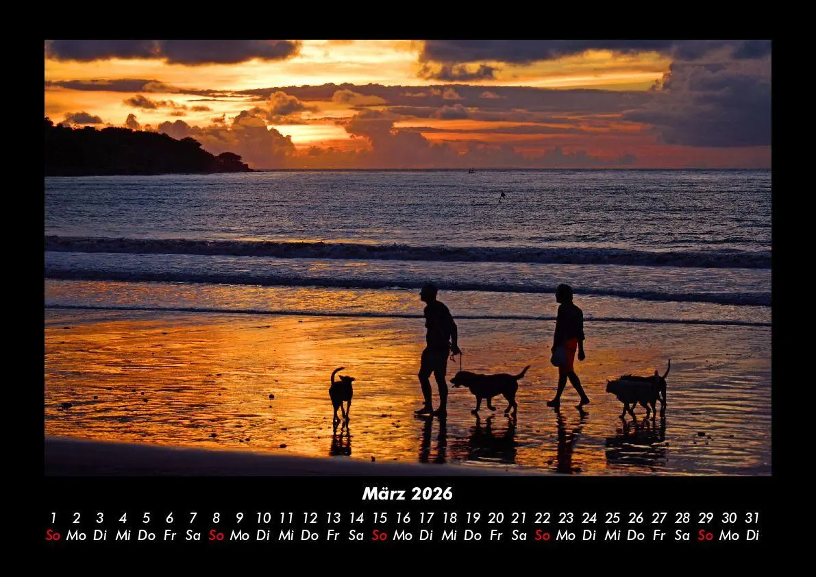 Bild: 9783695406159 | Hunde Kalender 2026 Fotokalender DIN A3 | Tobias Becker | Kalender