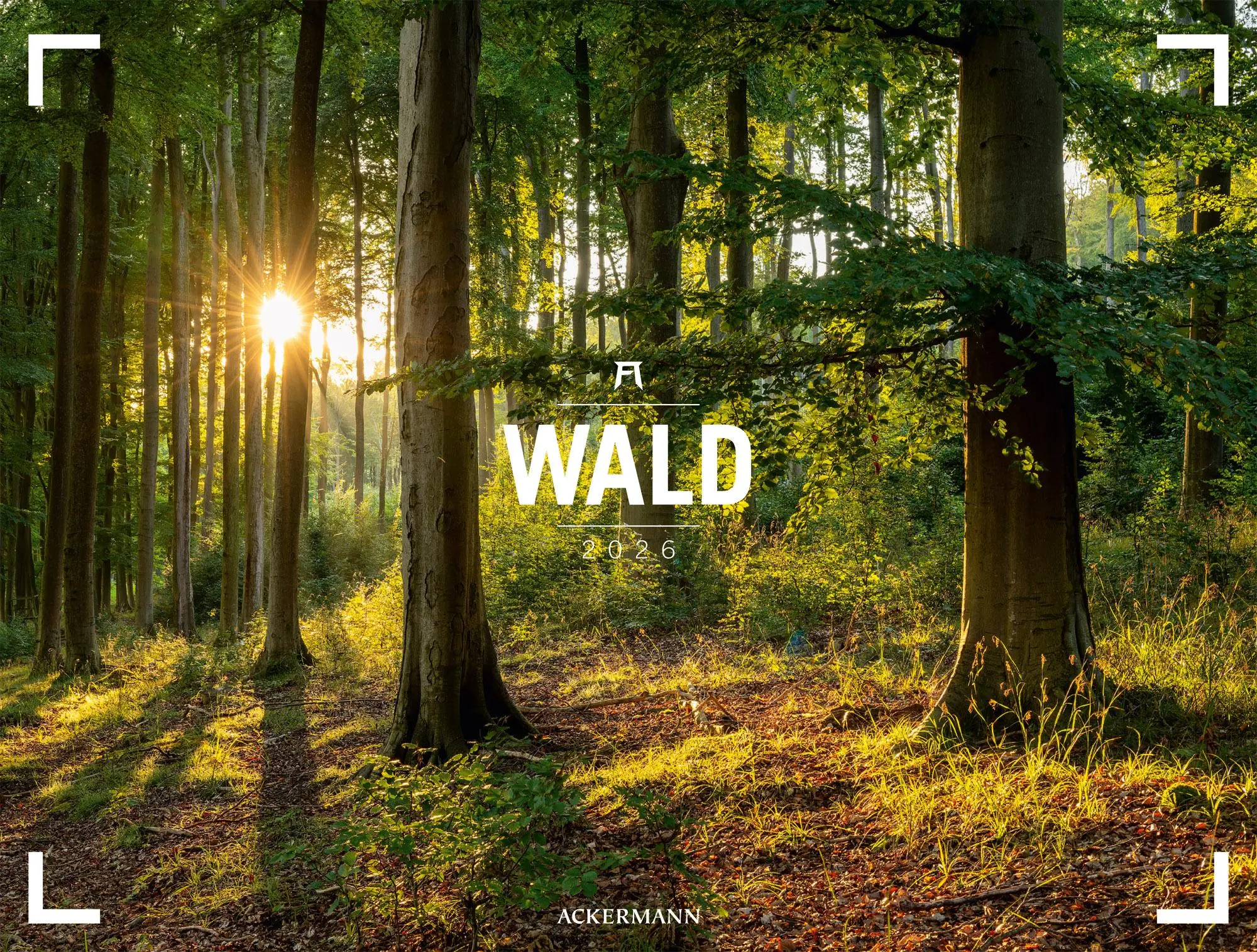Cover: 9783838436159 | Wald Gallery Kalender 2026 | Ackermann Kunstverlag GmbH | Kalender