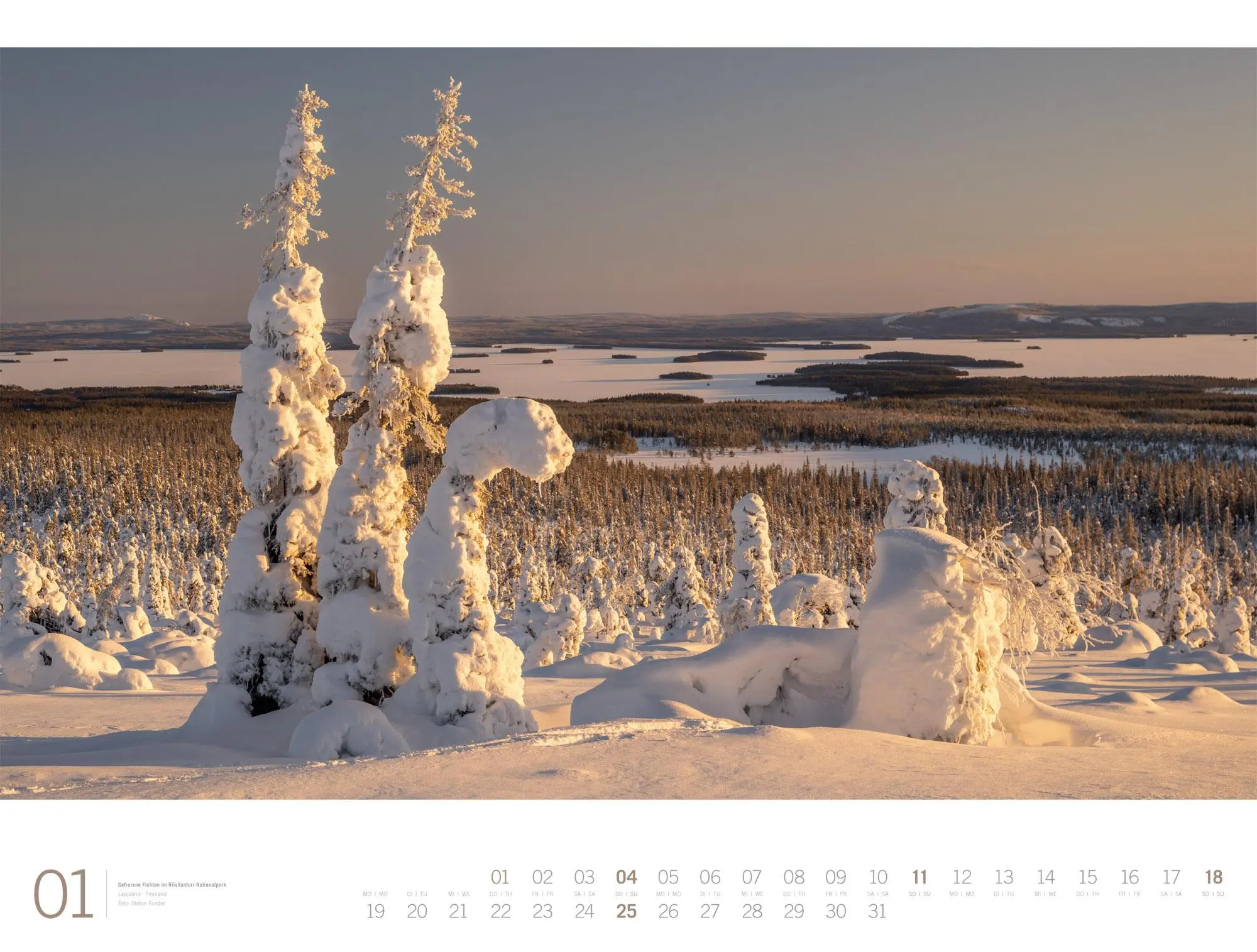 Bild: 9783838436159 | Wald Gallery Kalender 2026 | Ackermann Kunstverlag GmbH | Kalender