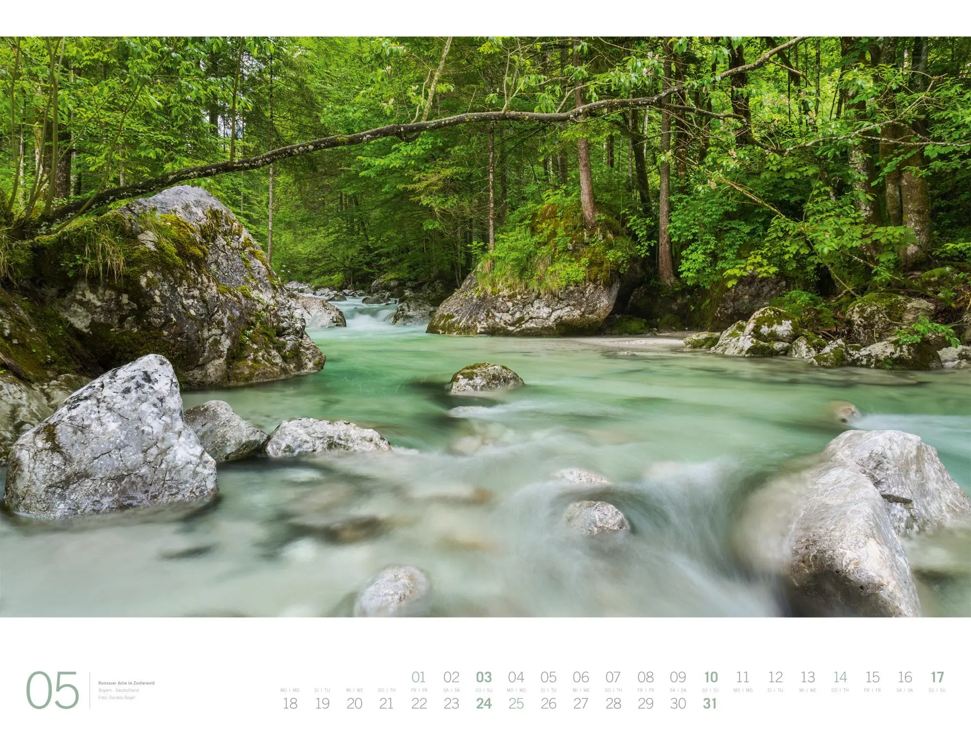 Bild: 9783838436159 | Wald Gallery Kalender 2026 | Ackermann Kunstverlag GmbH | Kalender