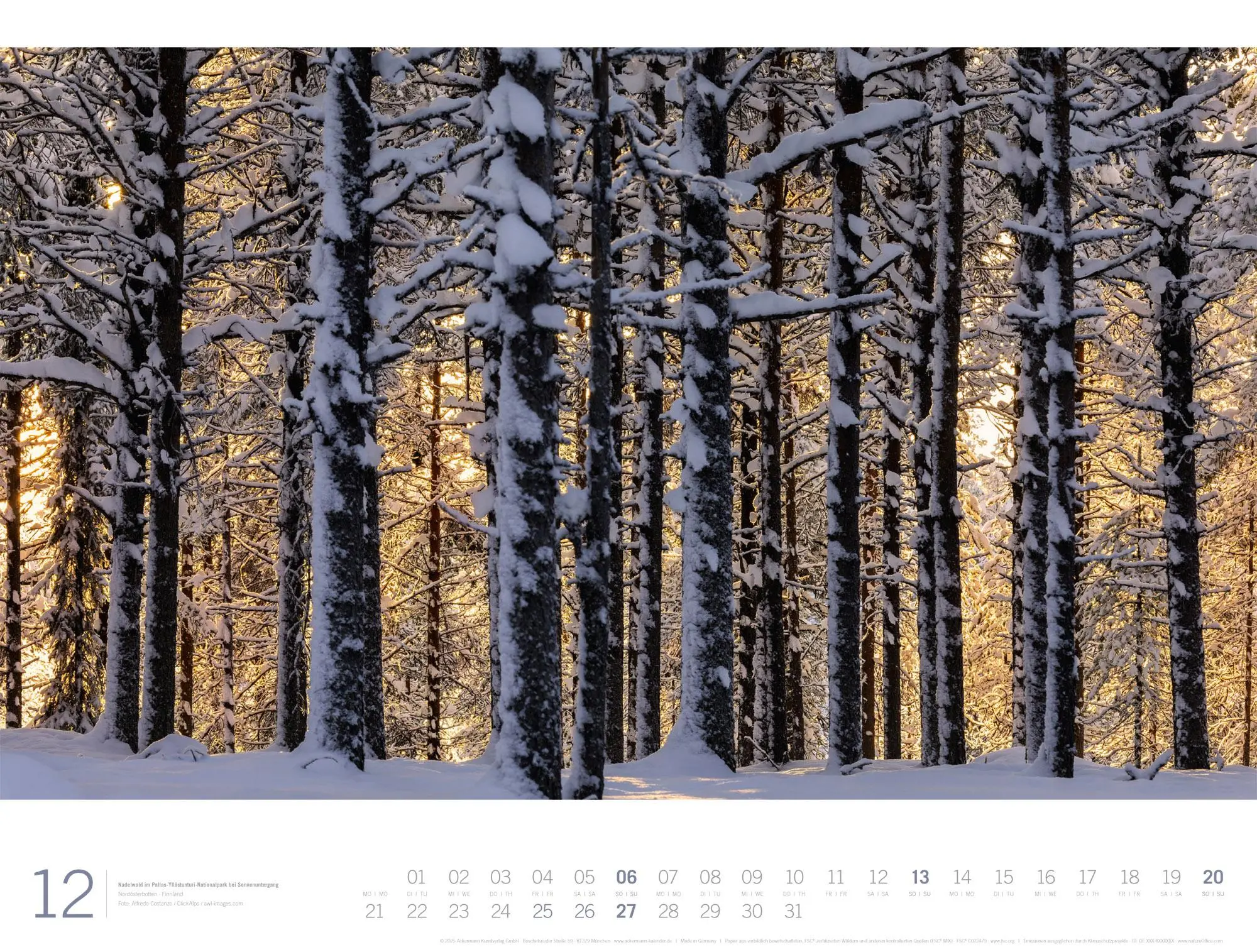 Bild: 9783838436159 | Wald Gallery Kalender 2026 | Ackermann Kunstverlag GmbH | Kalender