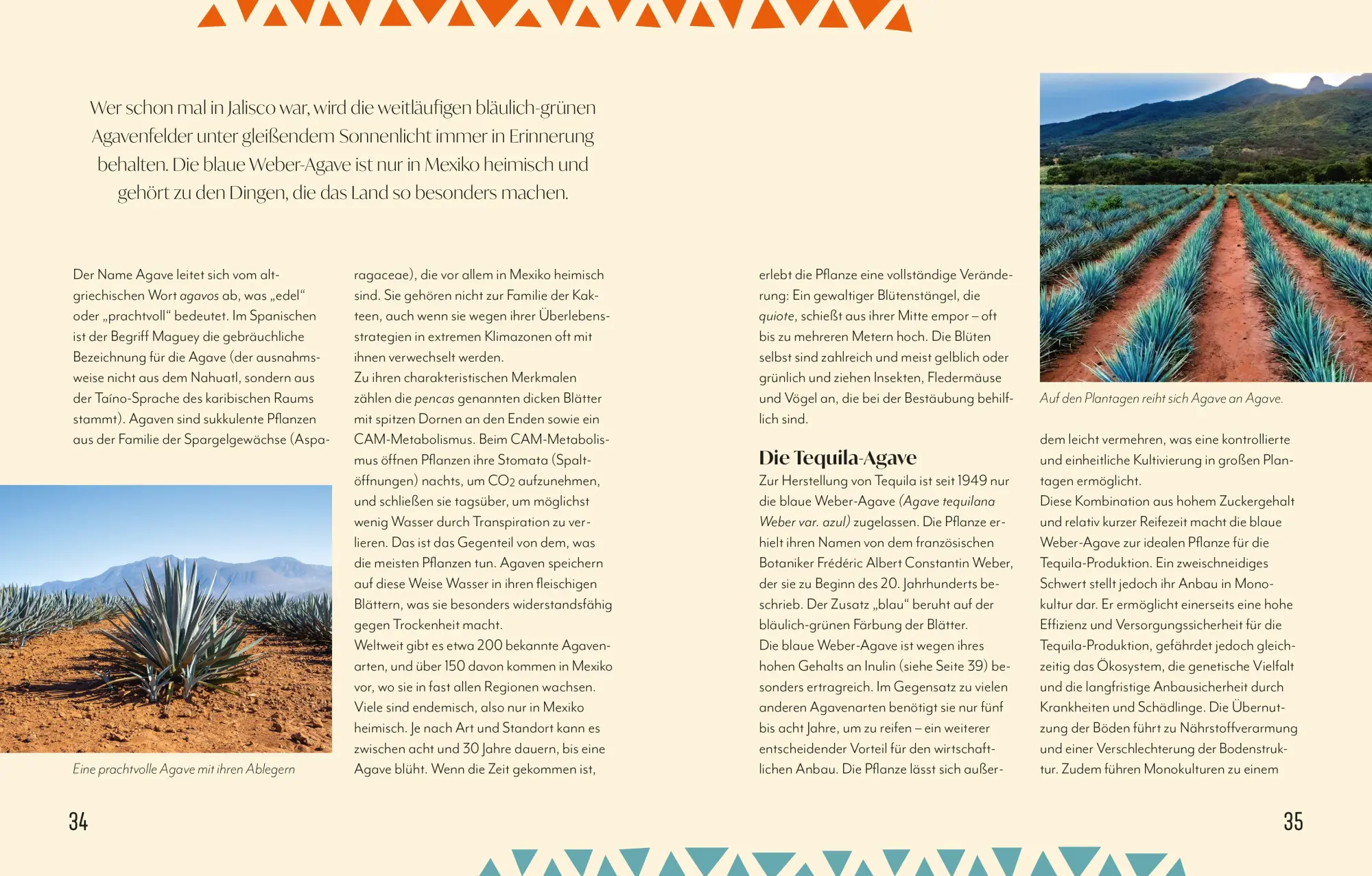 Bild: 9783965846159 | Tequila | Die Seele Mexikos | Betty Kupsa | Buch | 240 S. | Deutsch