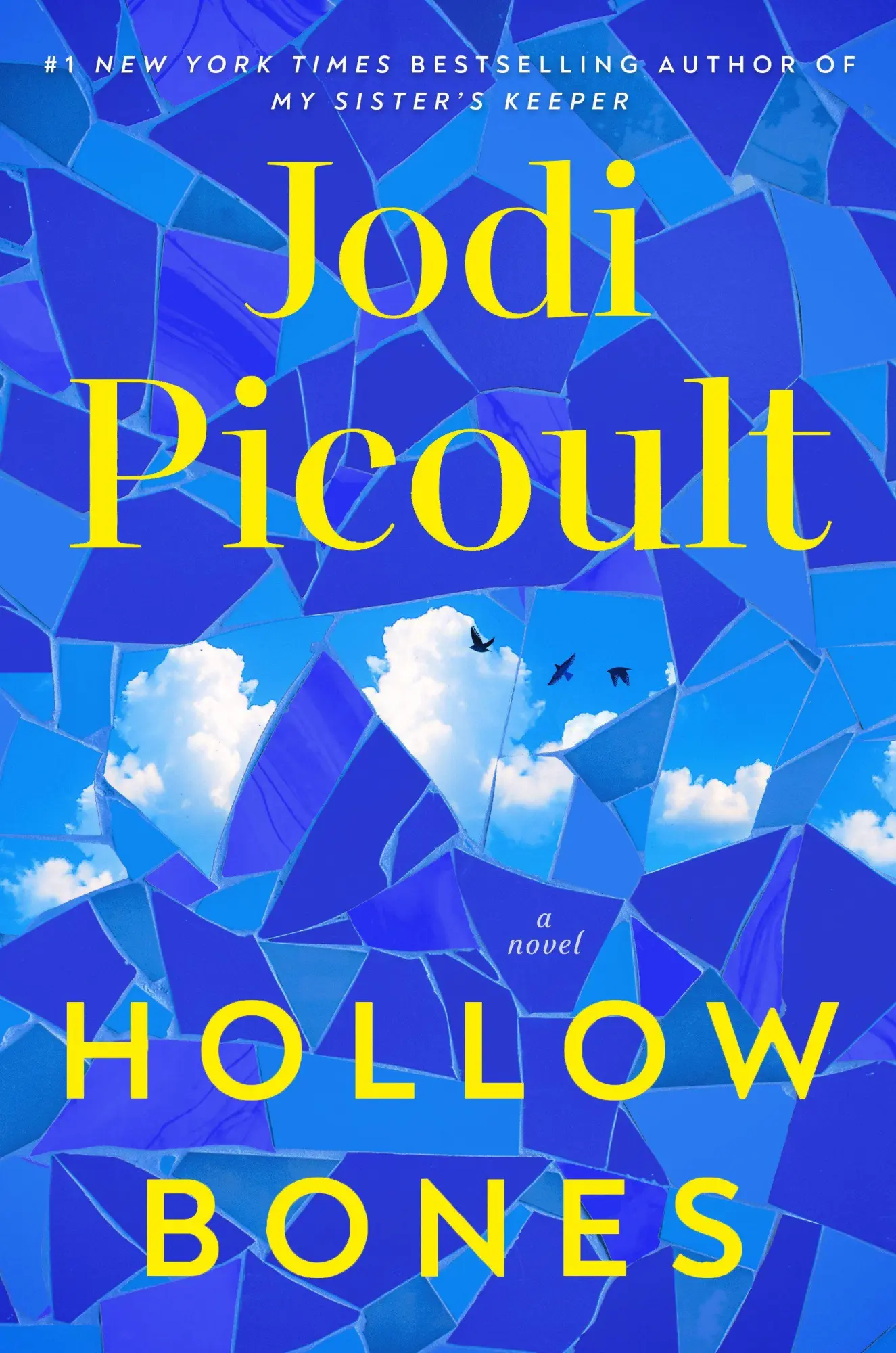Cover: 9780593726259 | Hollow Bones | Jodi Picoult | Buch | Einband - fest (Hardcover) | 2026
