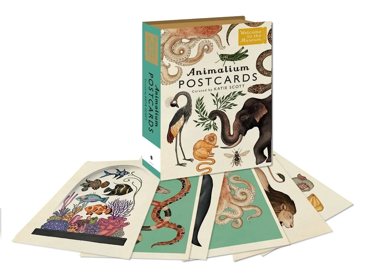 Cover: 9781783706259 | Animalium Postcards | Katie Scott Limited | Box | Leinen (Buchleinen)