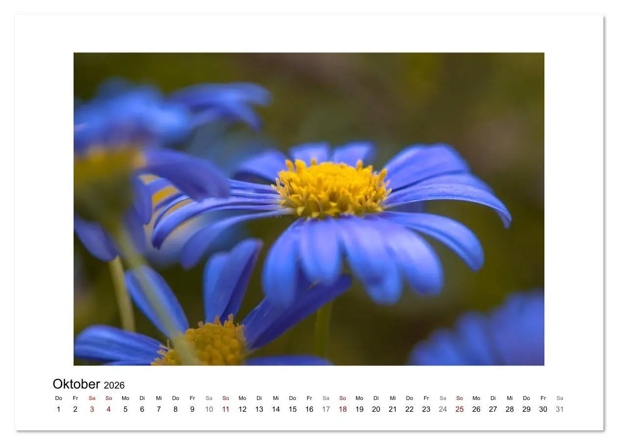 Bild: 9783457716359 | Blauer Blütentraum (hochwertiger Premium Wandkalender 2026 DIN A2...