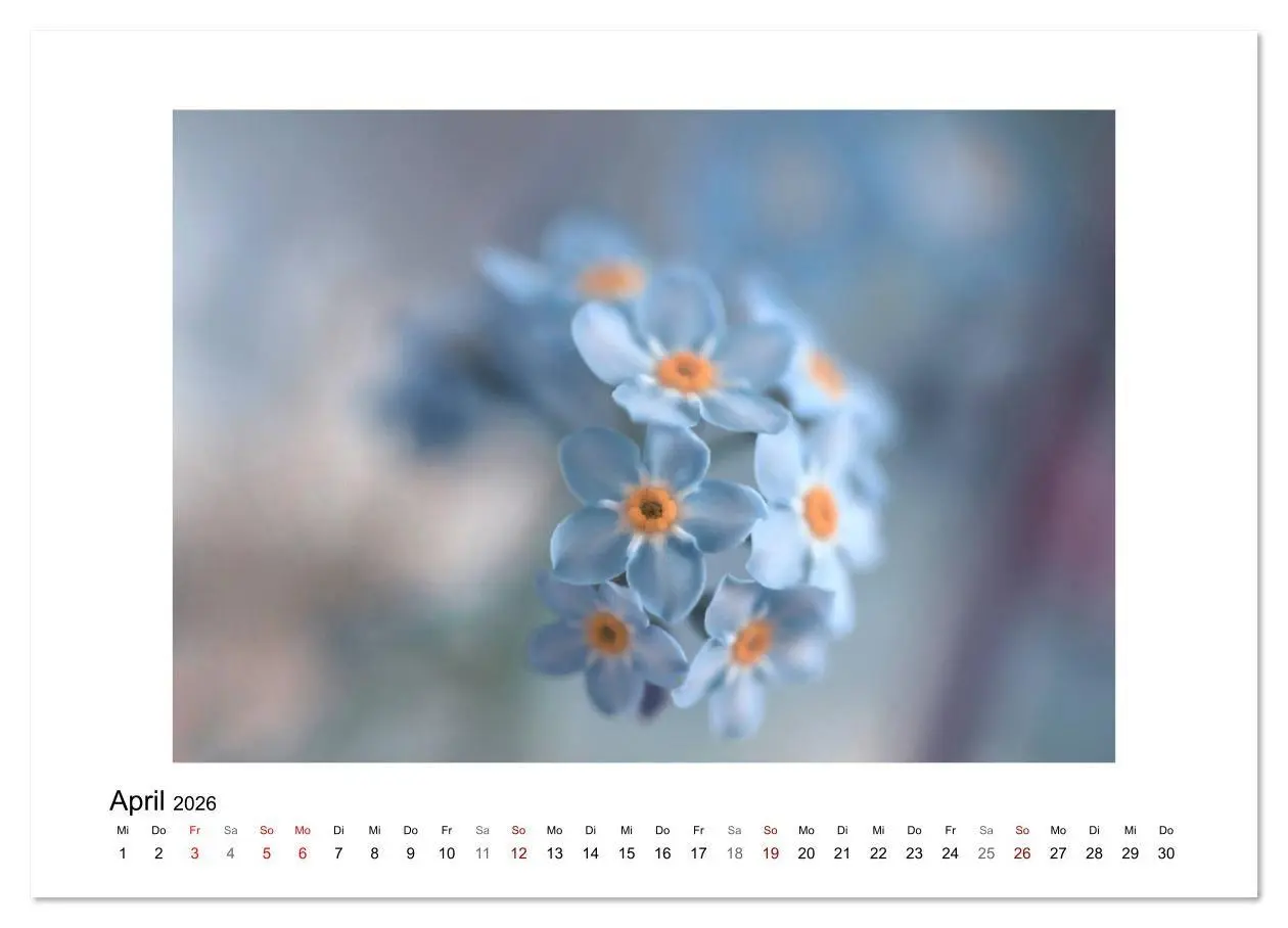 Bild: 9783457716359 | Blauer Blütentraum (hochwertiger Premium Wandkalender 2026 DIN A2...