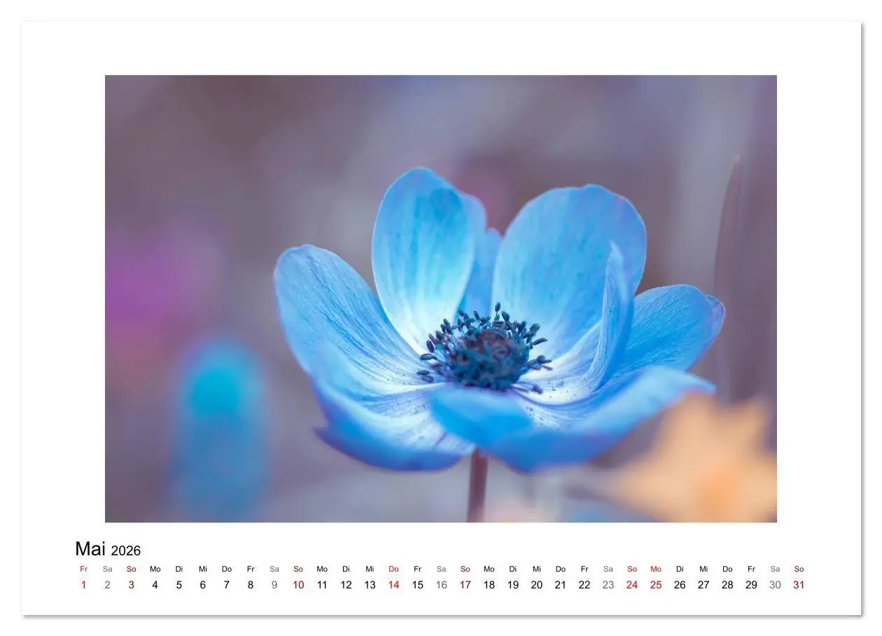 Bild: 9783457716359 | Blauer Blütentraum (hochwertiger Premium Wandkalender 2026 DIN A2...
