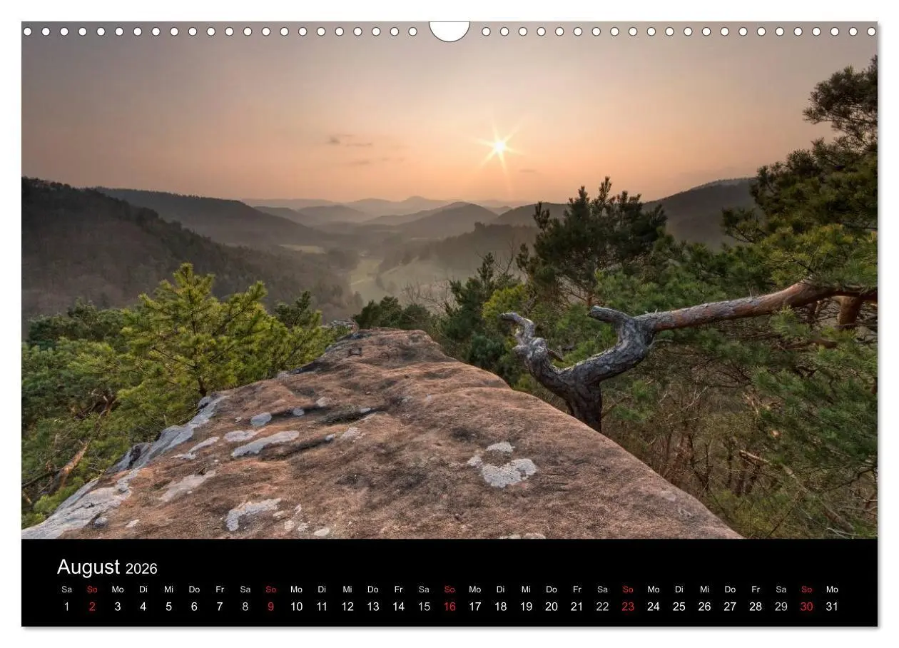 Bild: 9783516046359 | Mystischer Pfälzer Wald (Wandkalender 2026 DIN A3 quer), CALVENDO...