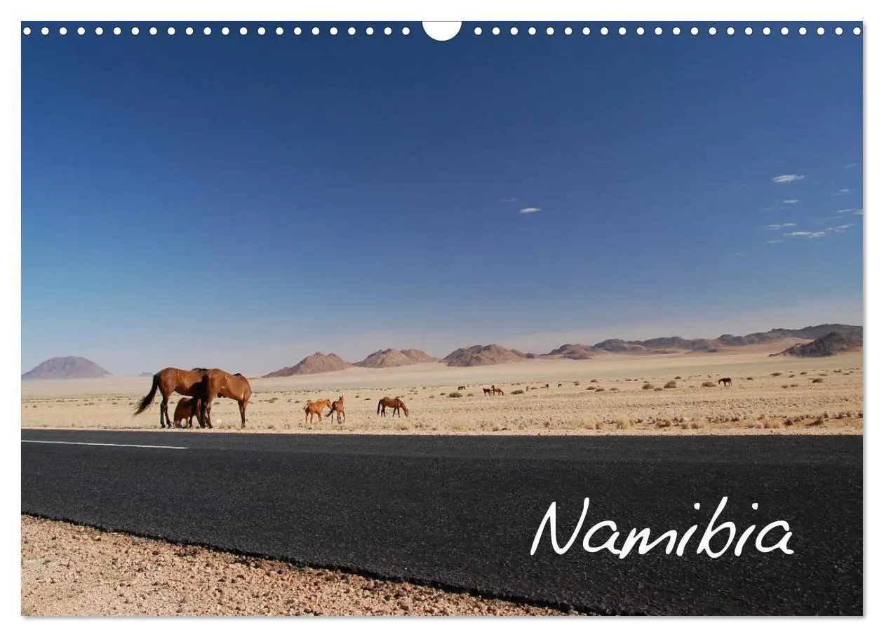 Cover: 9783594196359 | Namibia (Wandkalender 2027 DIN A3 quer), CALVENDO Monatskalender