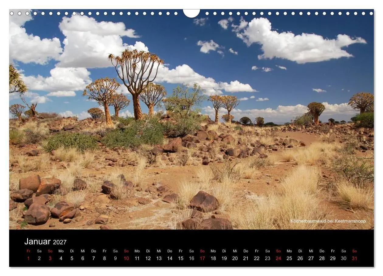 Bild: 9783594196359 | Namibia (Wandkalender 2027 DIN A3 quer), CALVENDO Monatskalender