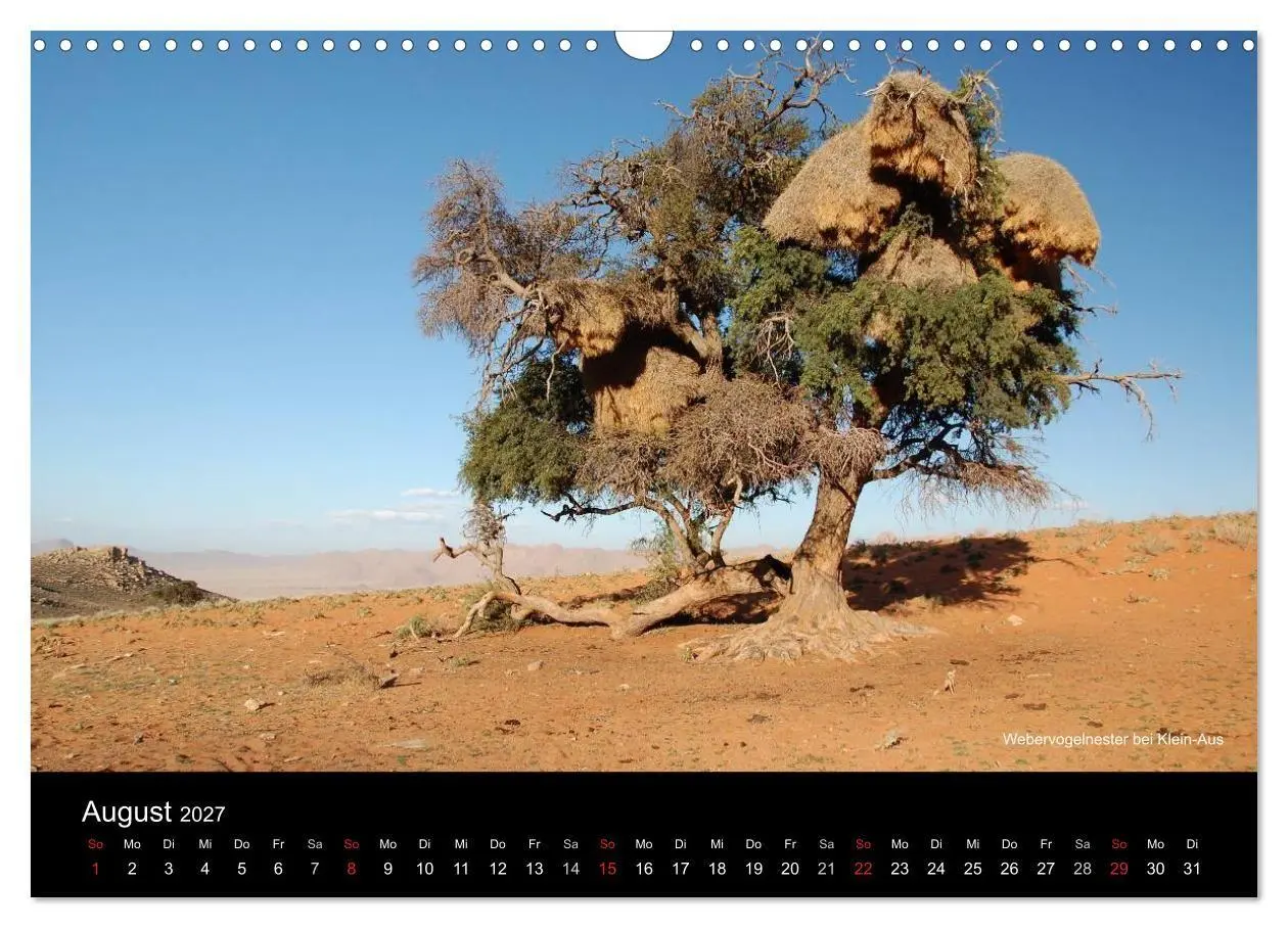 Bild: 9783594196359 | Namibia (Wandkalender 2027 DIN A3 quer), CALVENDO Monatskalender