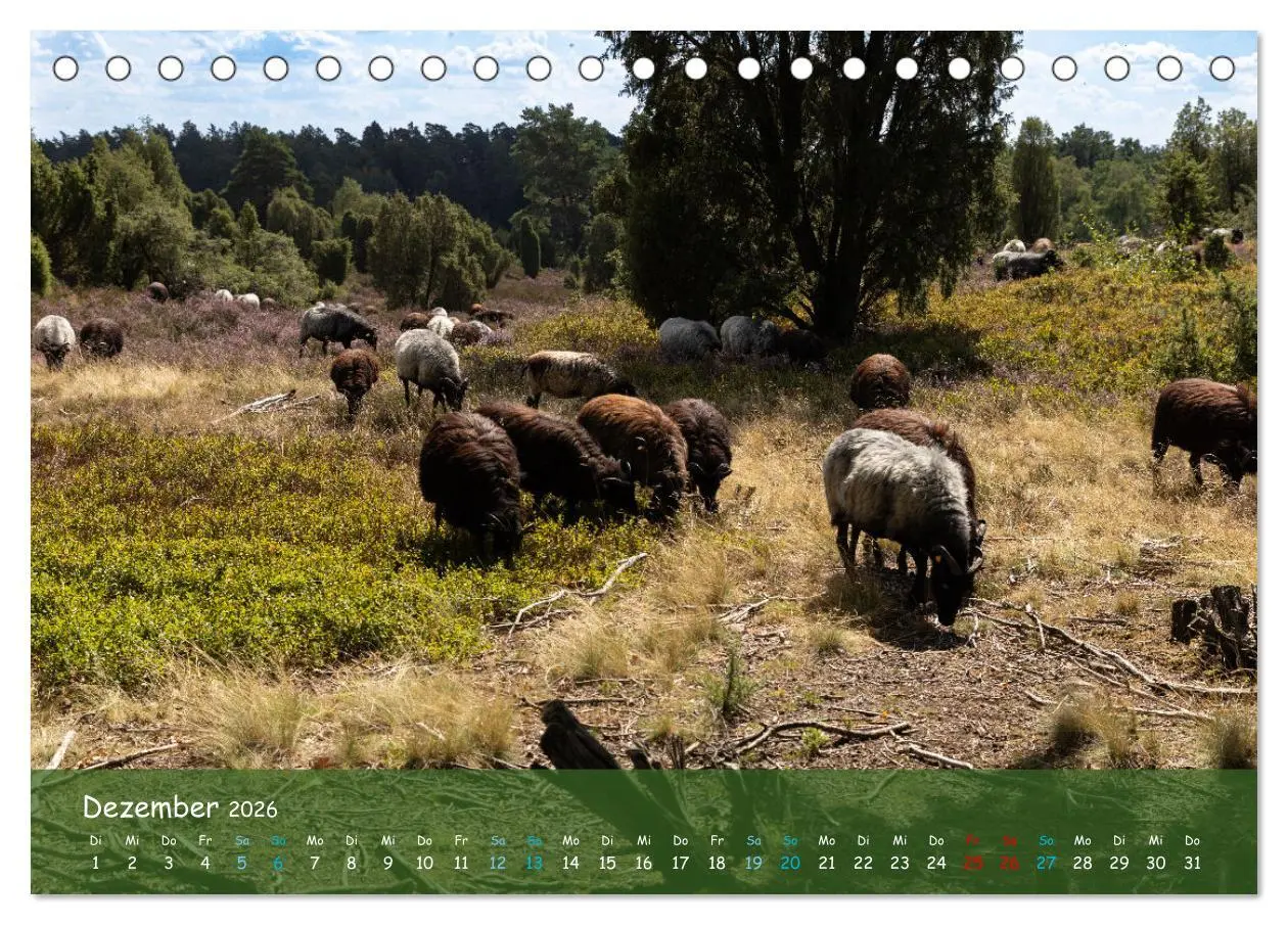 Bild: 9783457566459 | Im Herzen der Lüneburger Heide (Tischkalender 2026 DIN A5 quer),...
