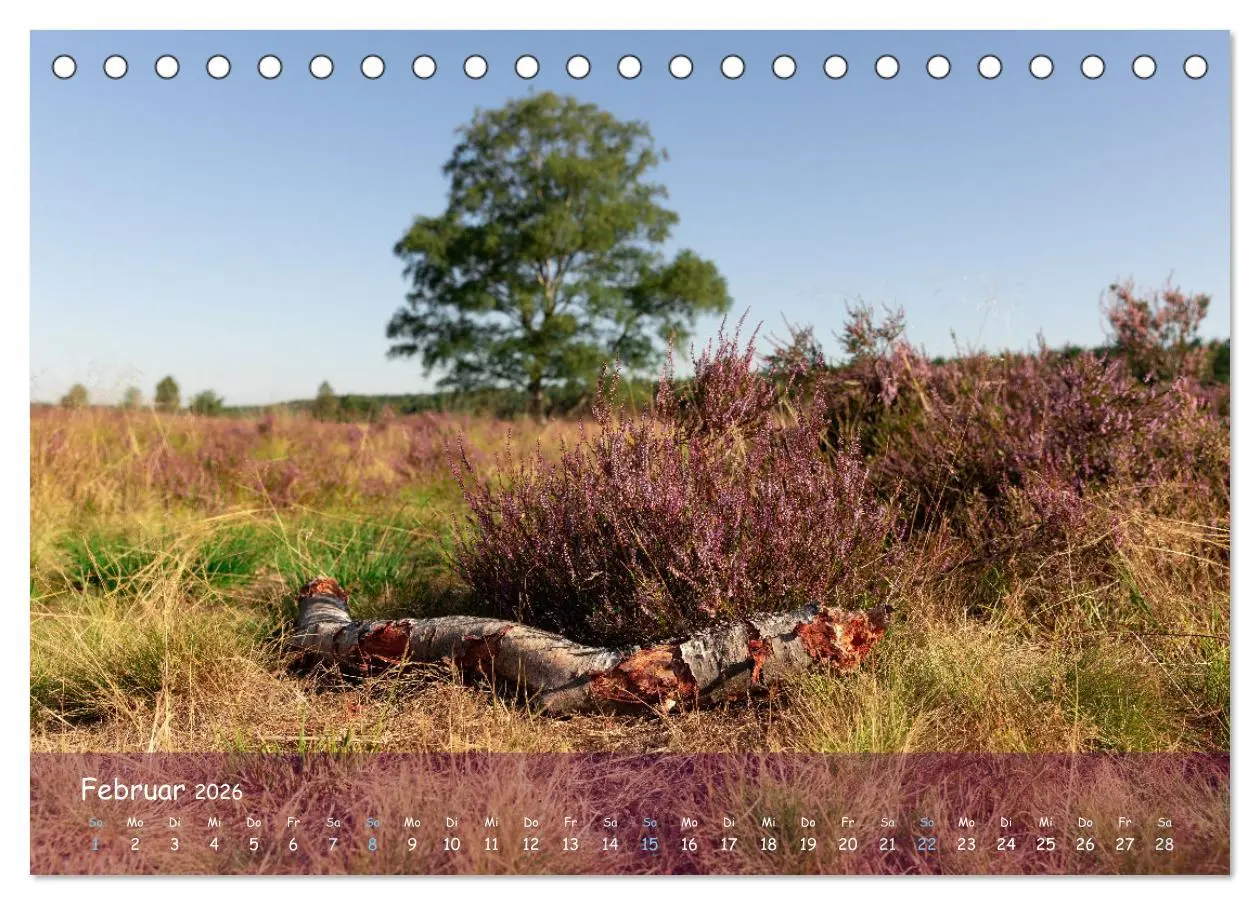 Bild: 9783457566459 | Im Herzen der Lüneburger Heide (Tischkalender 2026 DIN A5 quer),...