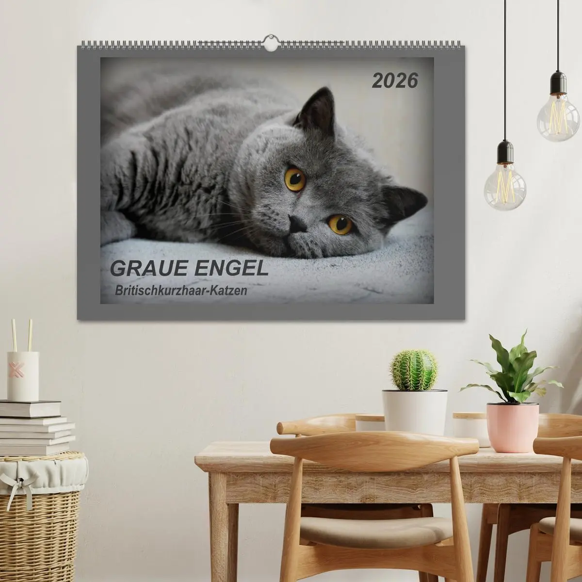 Bild: 9783457876459 | GRAUE ENGEL Britischkurzhaar-Katzen (Wandkalender 2026 DIN A2...