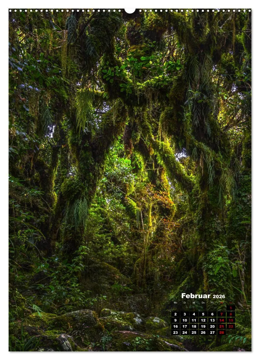 Bild: 9783516416459 | Neuseeland, Inseln der Träume (Wandkalender 2026 DIN A2 hoch),...