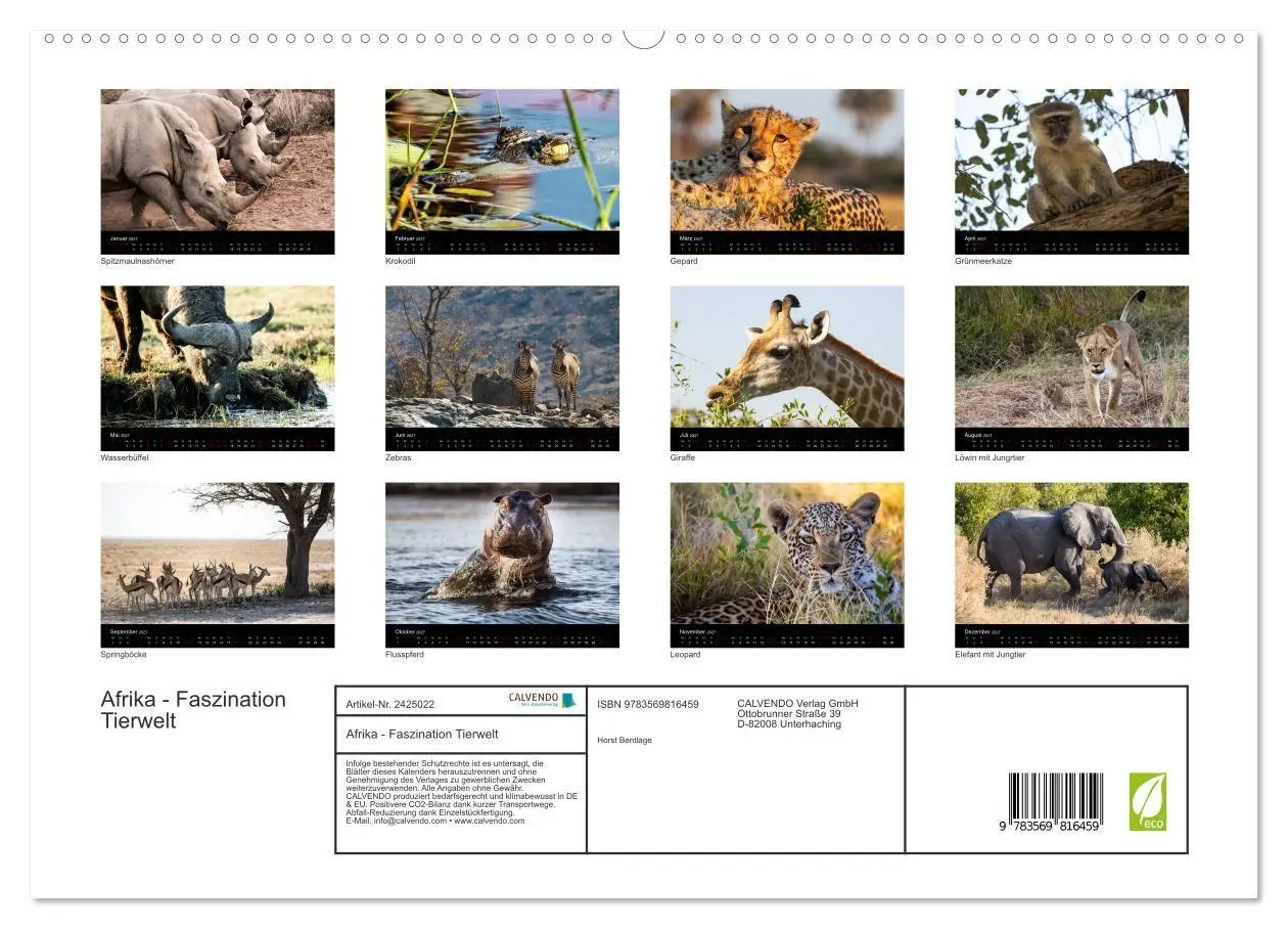 Bild: 9783569816459 | Afrika - Faszination Tierwelt (hochwertiger Premium Wandkalender...