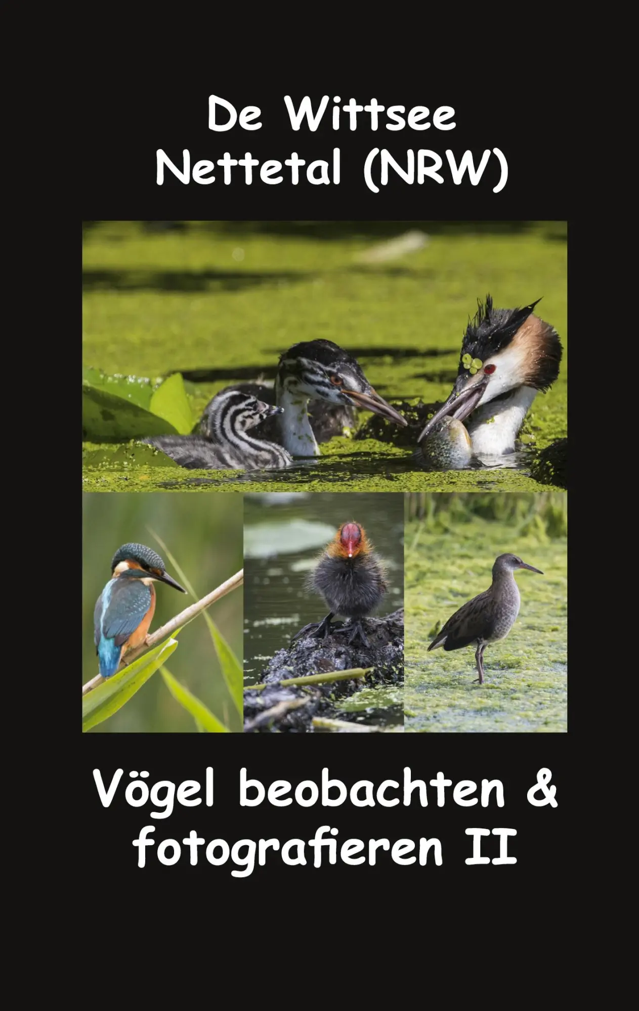 Cover: 9783751976459 | De Wittsee - Nettetal (NRW) | Vögel beobachten &amp; fotografieren II