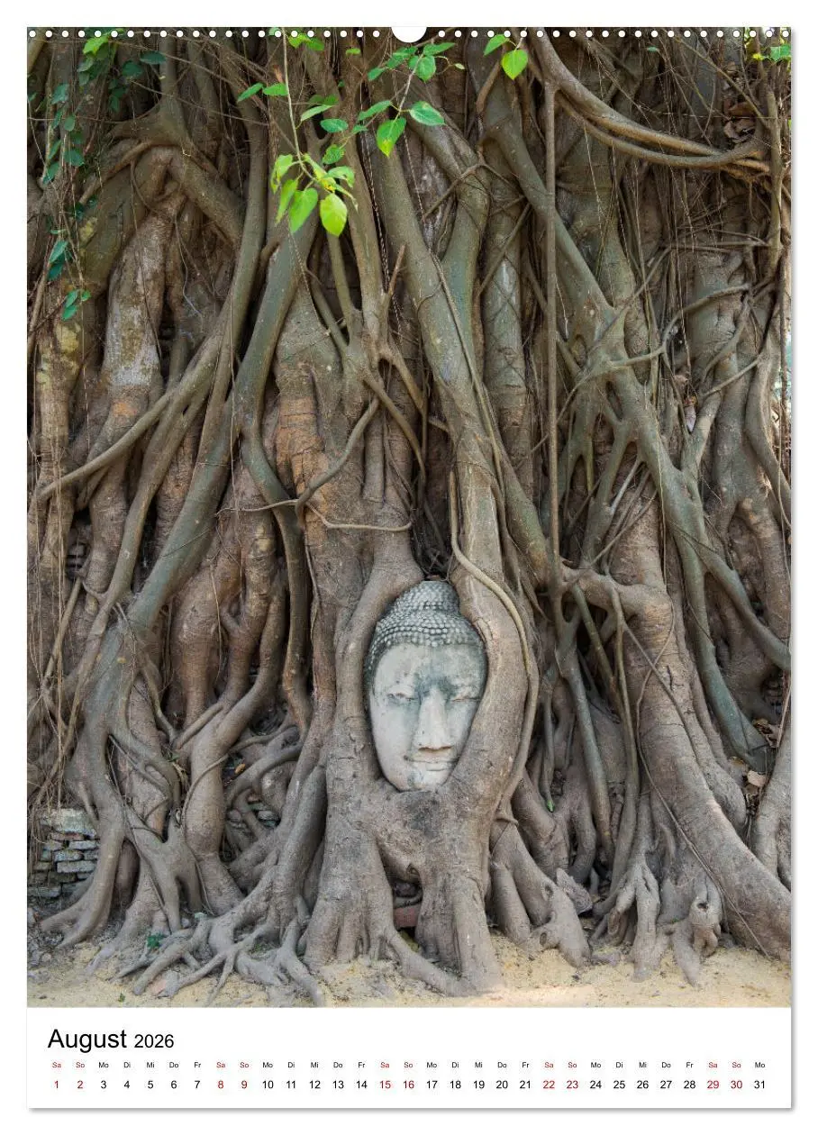 Bild: 9783516336559 | Buddhas im Glück (Wandkalender 2026 DIN A2 hoch), CALVENDO...