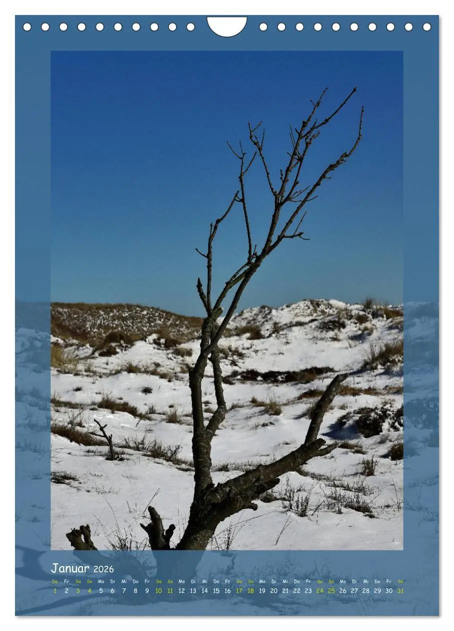 Bild: 9783516406559 | Texel sehen und verlieben (Wandkalender 2026 DIN A4 hoch), CALVENDO...