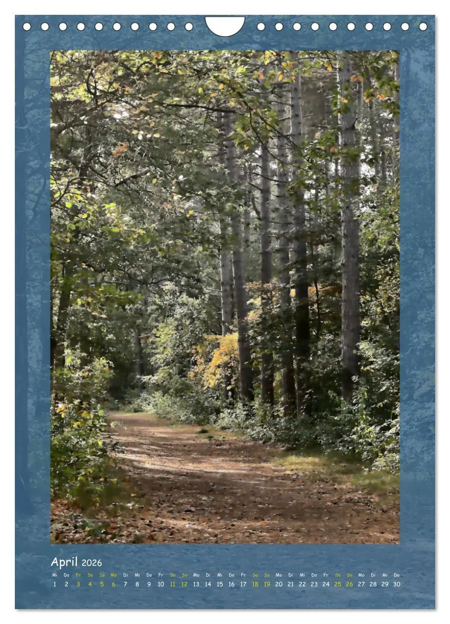Bild: 9783516406559 | Texel sehen und verlieben (Wandkalender 2026 DIN A4 hoch), CALVENDO...