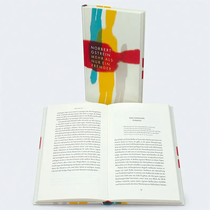 Bild: 9783446276659 | Mehr als nur ein Fremder | Norbert Gstrein | Buch | 192 S. | Deutsch
