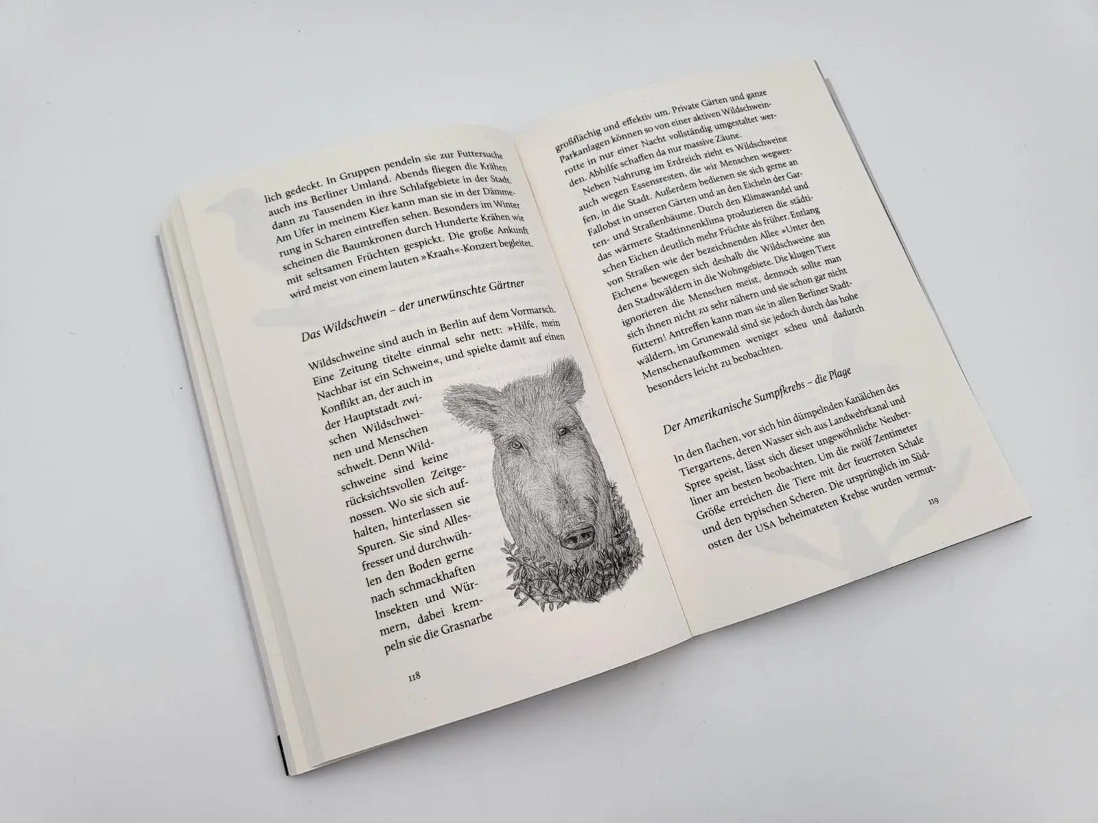 Bild: 9783492406659 | Von Füchsen und Menschen | Sophia Kimmig | Taschenbuch | 256 S. | 2023