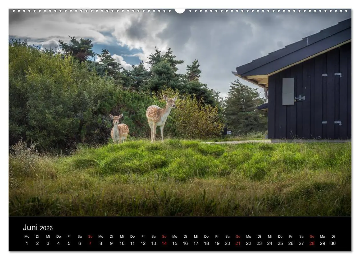 Bild: 9783516016659 | Fanø - Meine Insel (Wandkalender 2026 DIN A2 quer), CALVENDO...