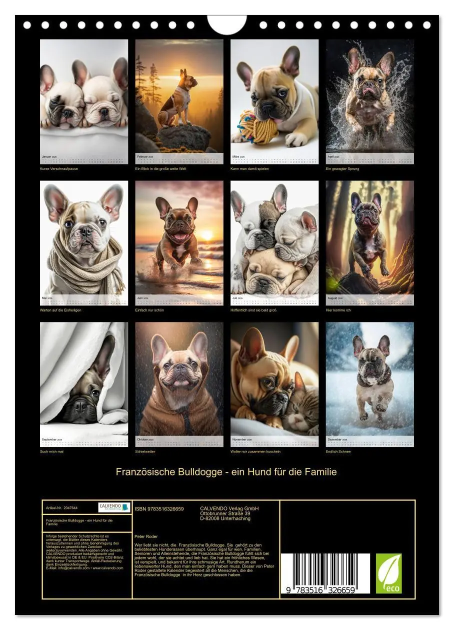 Bild: 9783516326659 | Französische Bulldogge - ein Hund für die Familie (Wandkalender...