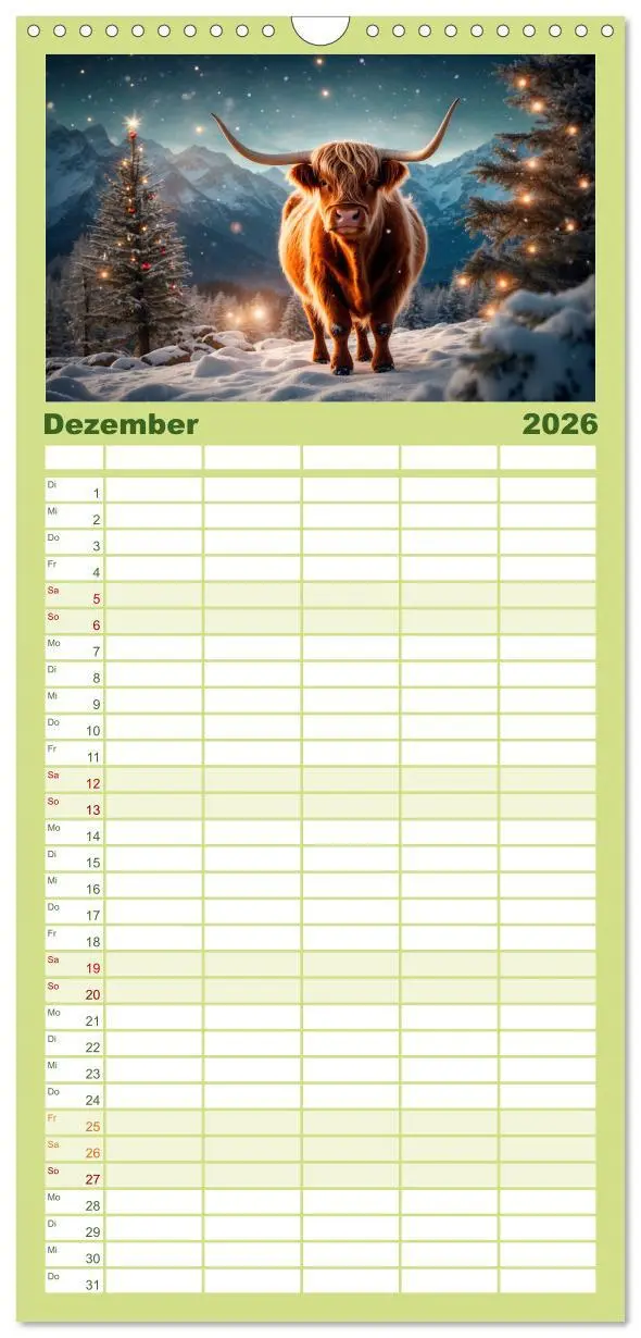 Bild: 9783516496659 | Familienplaner 2026 - Highland Kühe mit 5 Spalten (Wandkalender, 21...
