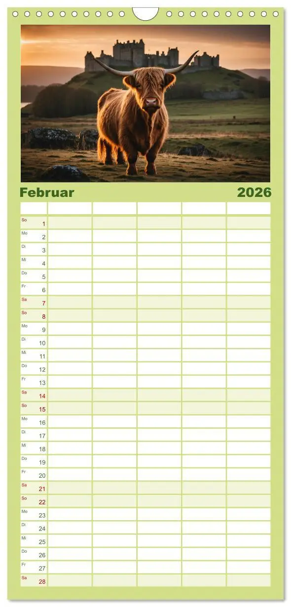 Bild: 9783516496659 | Familienplaner 2026 - Highland Kühe mit 5 Spalten (Wandkalender, 21...