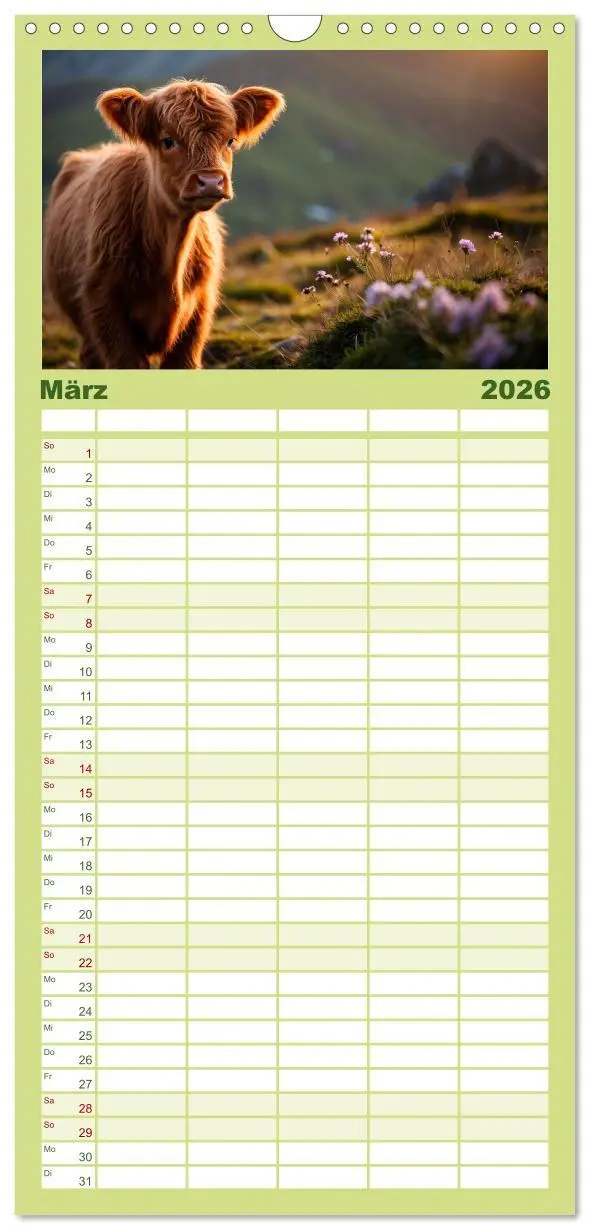 Bild: 9783516496659 | Familienplaner 2026 - Highland Kühe mit 5 Spalten (Wandkalender, 21...