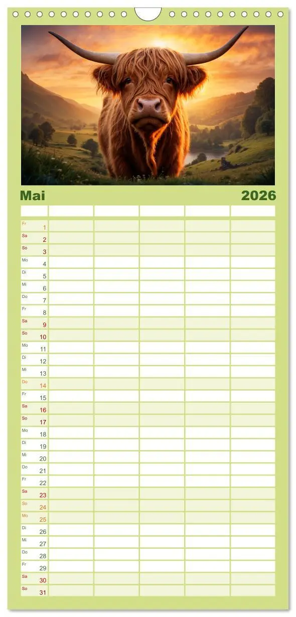 Bild: 9783516496659 | Familienplaner 2026 - Highland Kühe mit 5 Spalten (Wandkalender, 21...